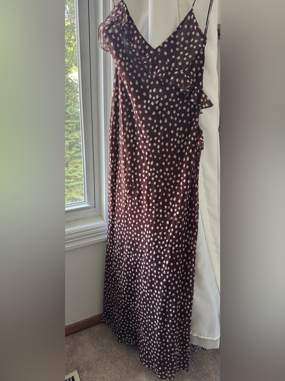 Brown Polka Dot Zara maxi dress